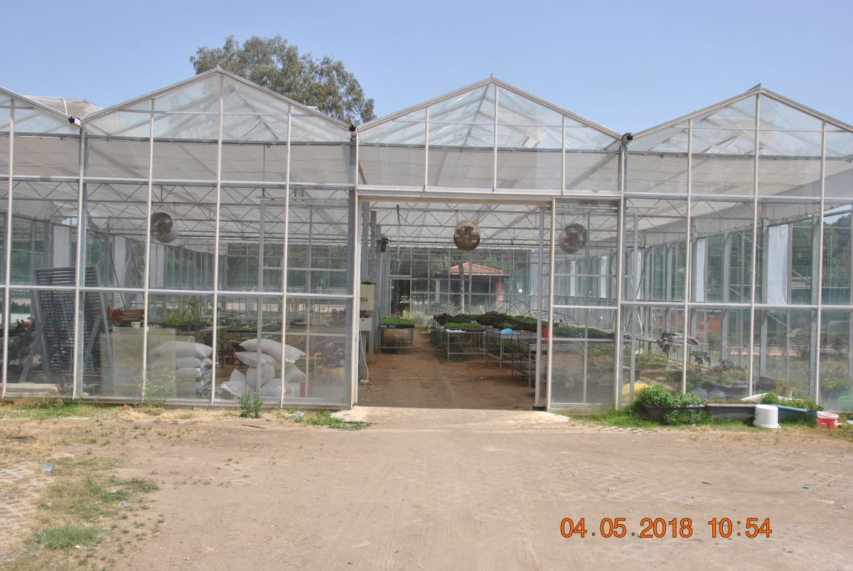 imagini hotel CLUB MEGASARAY BELEK